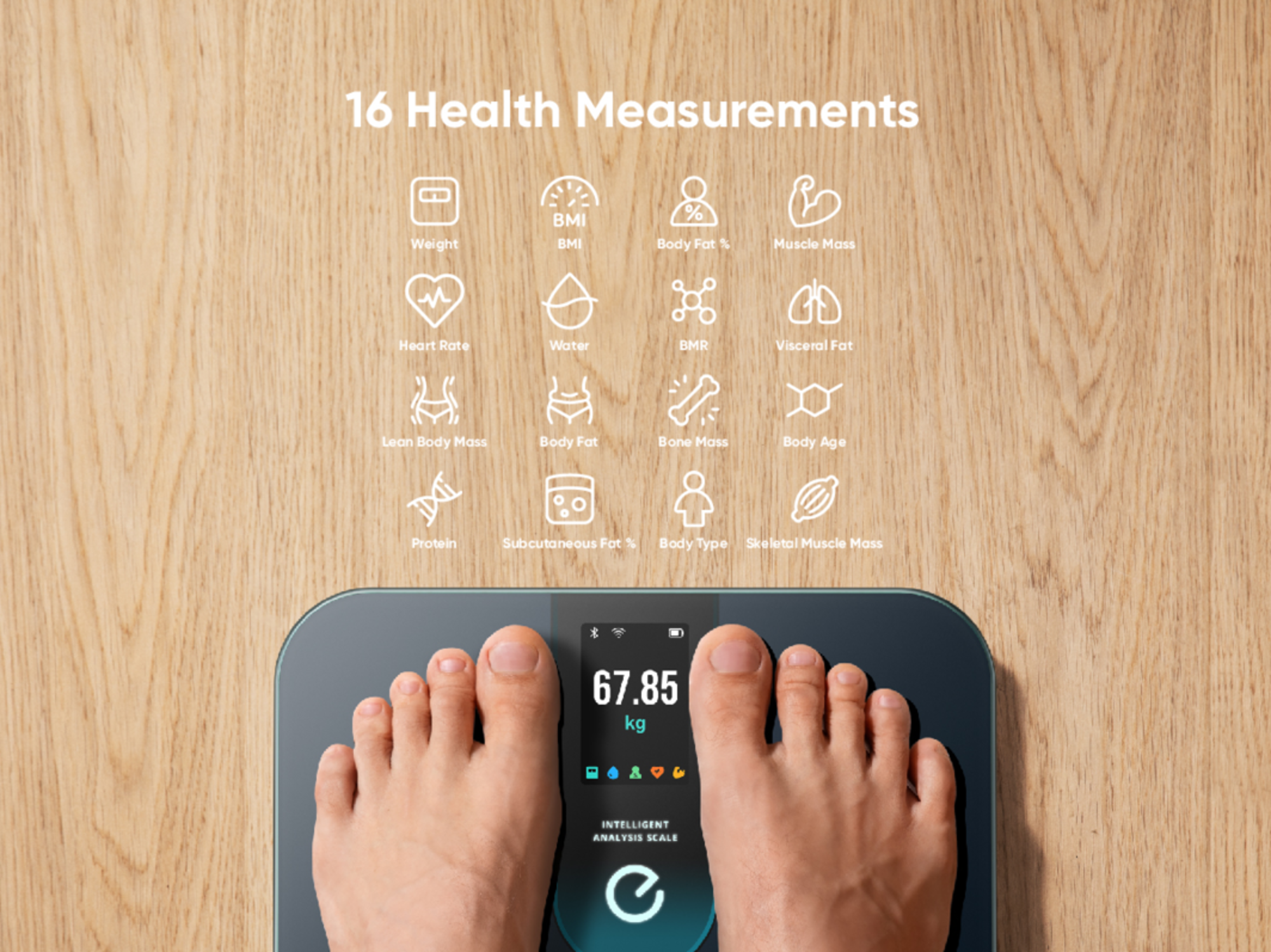 eufy Smart Scale P3 - 黑色 (T9150111)