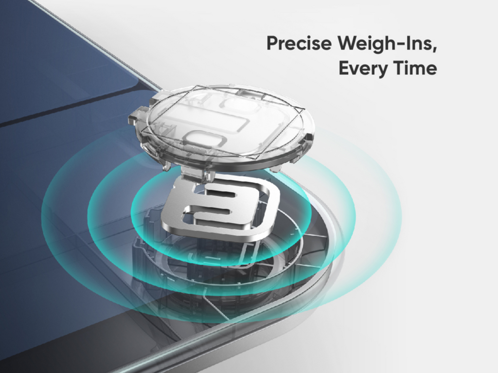 eufy Smart Scale P3 - 黑色 (T9150111)