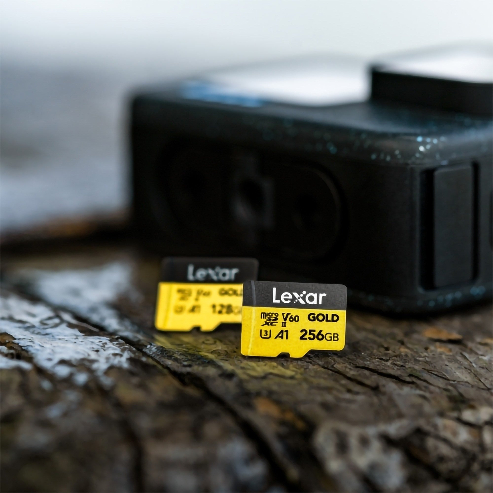 Lexar GOLD Micro SDXC 記憶卡 128GB (LMSGOLD128G-BNNNG)