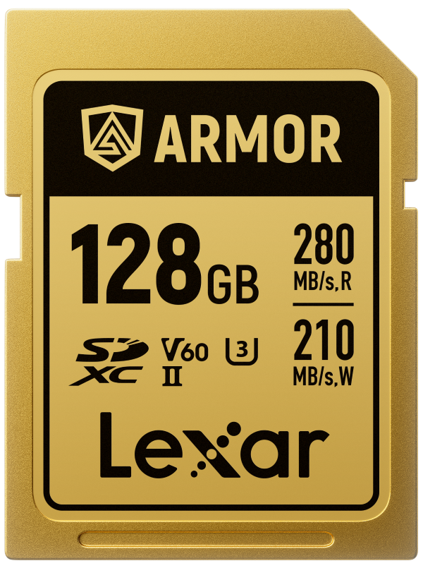 Lexar Professional Armor Gold SD 記憶卡 128GB (LSDAMGL128G-RNNNG)