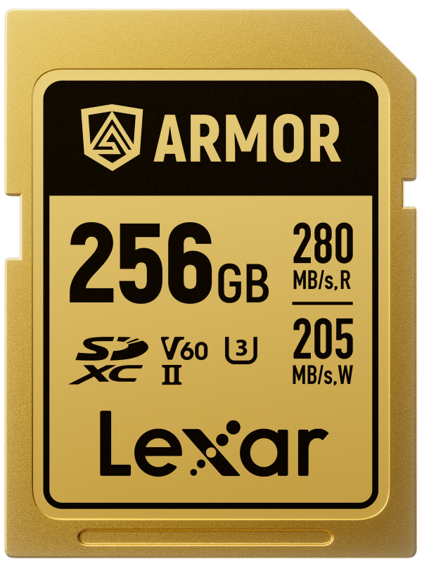 Lexar Professional Armor Gold SD Memory Card 256GB LSDAMGL256G-RNNNG