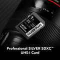 Lexar Professional SILVER Plus SDXC 記憶卡 1TB (LSDSIPL001T-BNNNG)